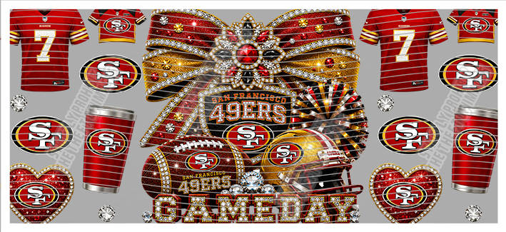 16oz team-NFL 3507
